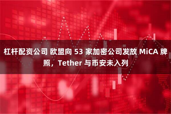 杠杆配资公司 欧盟向 53 家加密公司发放 MiCA 牌照，Tether 与币安未入列