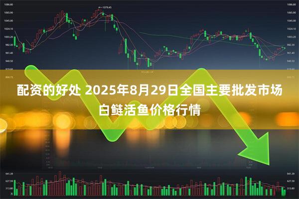 配资的好处 2025年8月29日全国主要批发市场白鲢活鱼价格行情